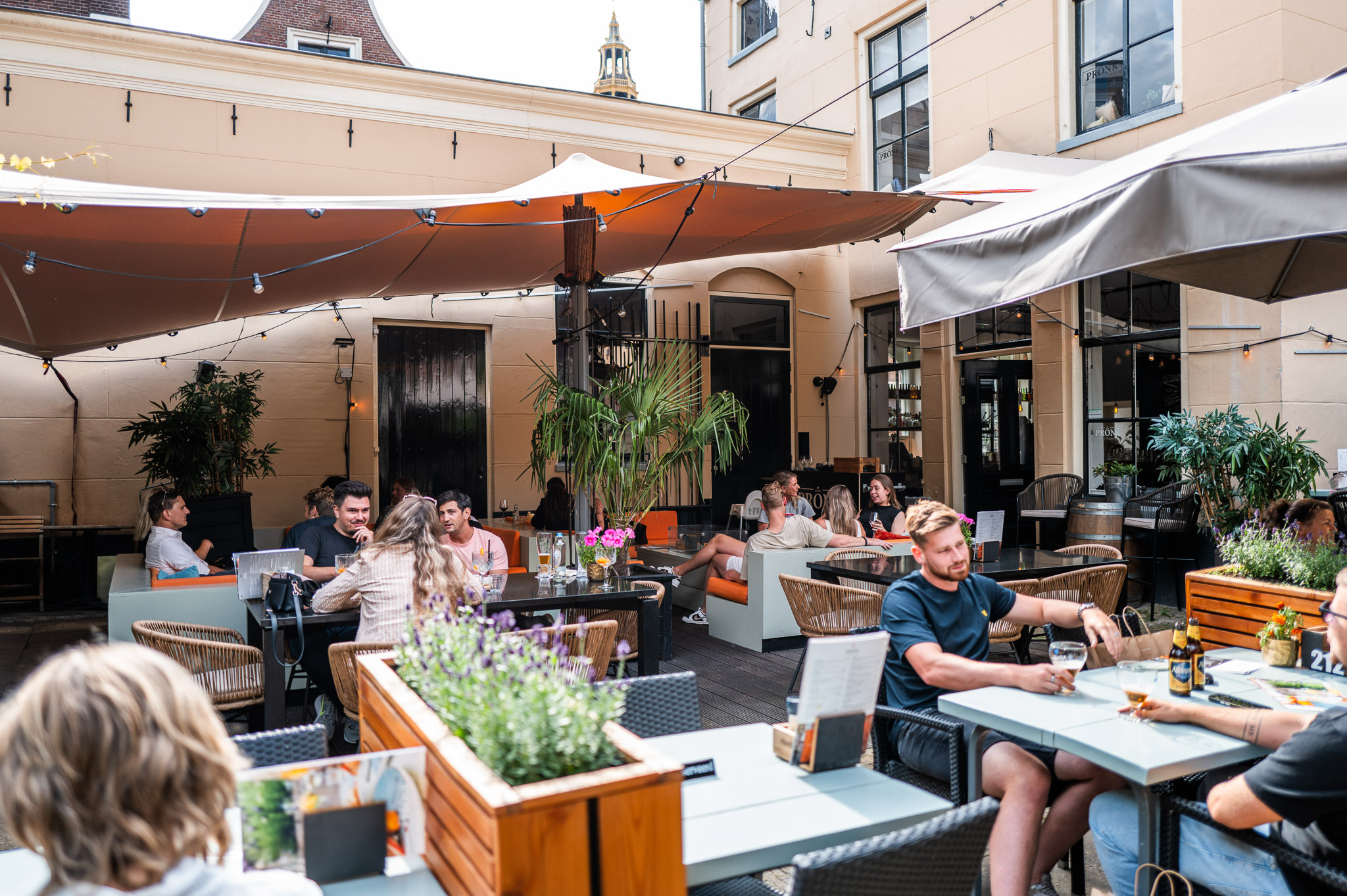 Thebrandwagon-1July 24, 2024170618 (1)